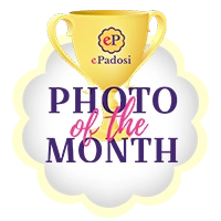 Months